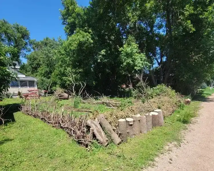 Your Reliable Tree Expert	 in Mitchell, SD