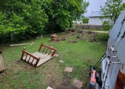 Tree Expert